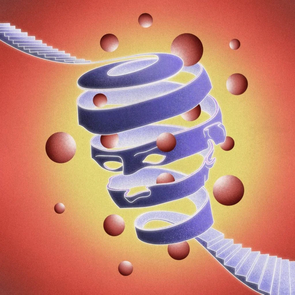 Moldes