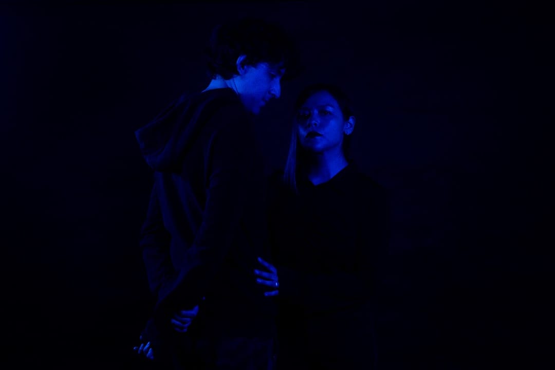 Sexores en un fondo azul casi indistinguibles