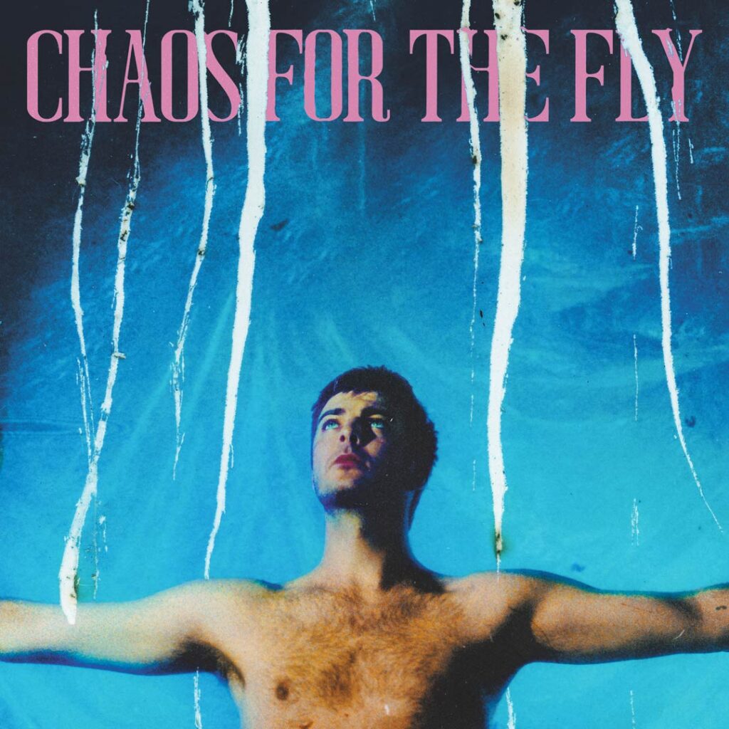 Portada del disco Chaos For The Fly por Grian Chatten