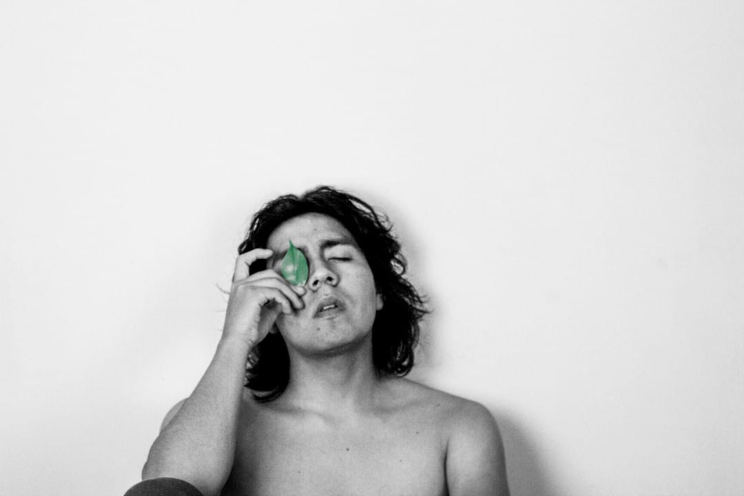 Mial con los ojos cerrados y sosteniendo una hoja de árbol