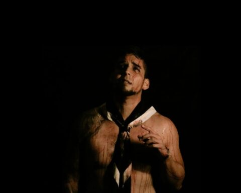 Lobo Gris posando con un fondo negro