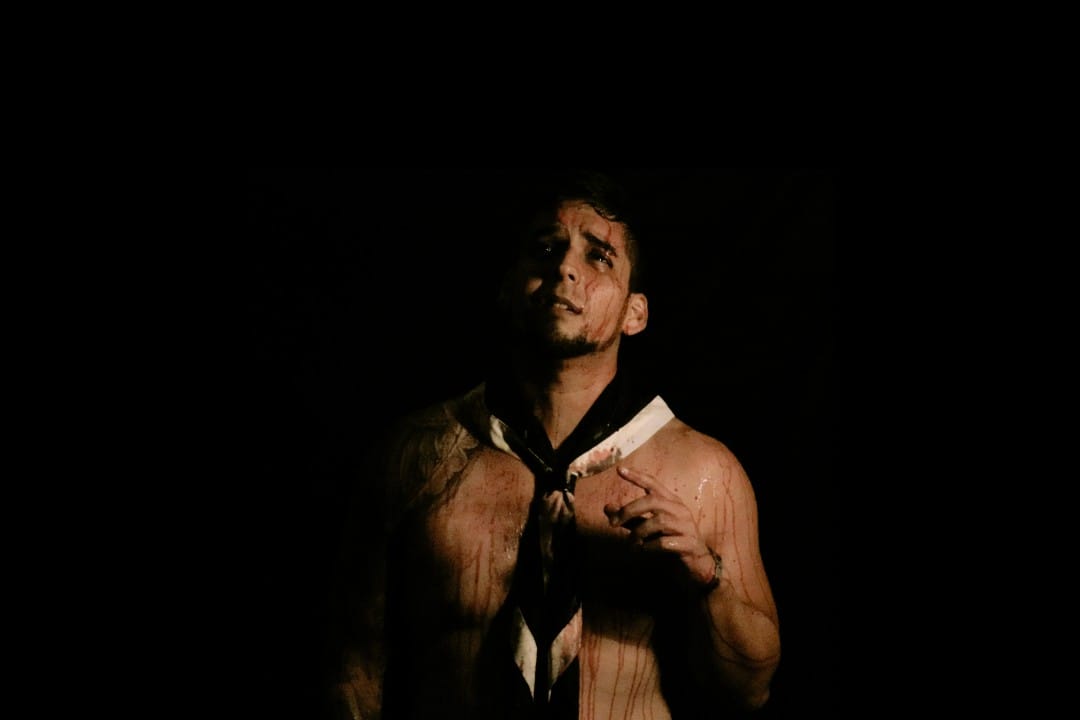 Lobo Gris posando con un fondo negro