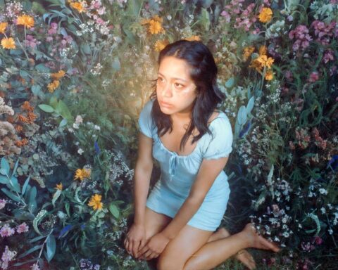 Shosha vs Shosha sentada en un lecho de flores