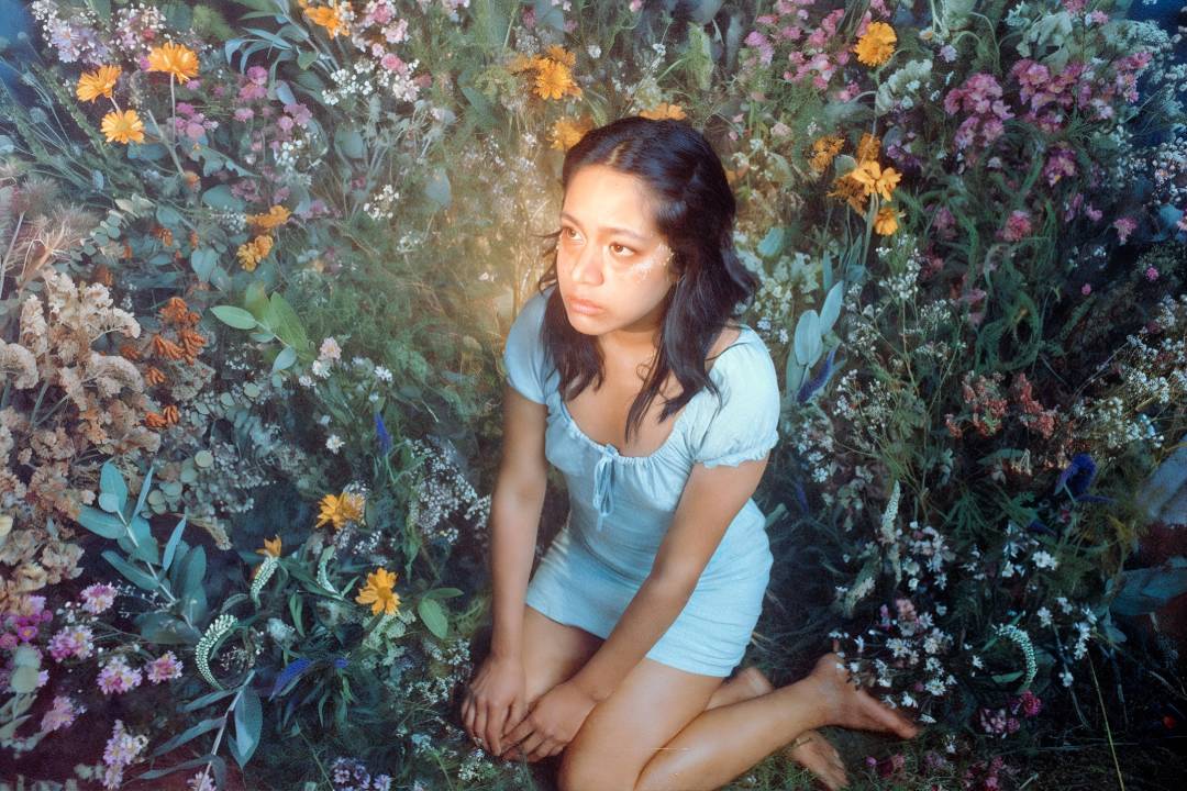 Shosha vs Shosha sentada en un lecho de flores