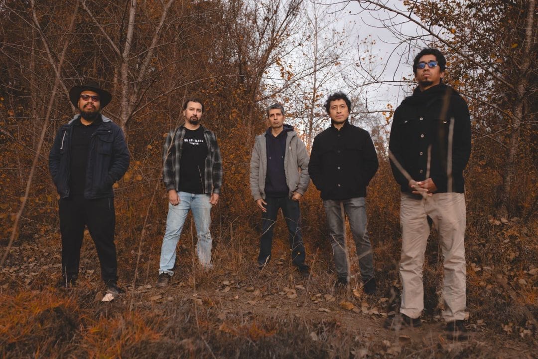 Búho Ermitaño posando en medio de un bosque