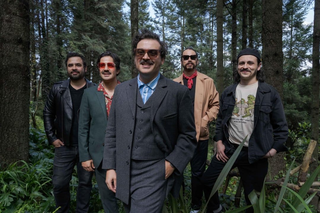 Enjambre posando en un bosque