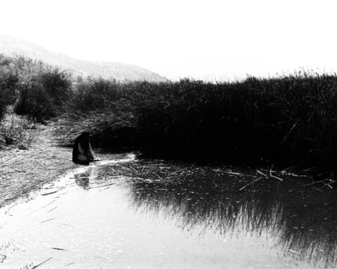 Nicolicio mira al río