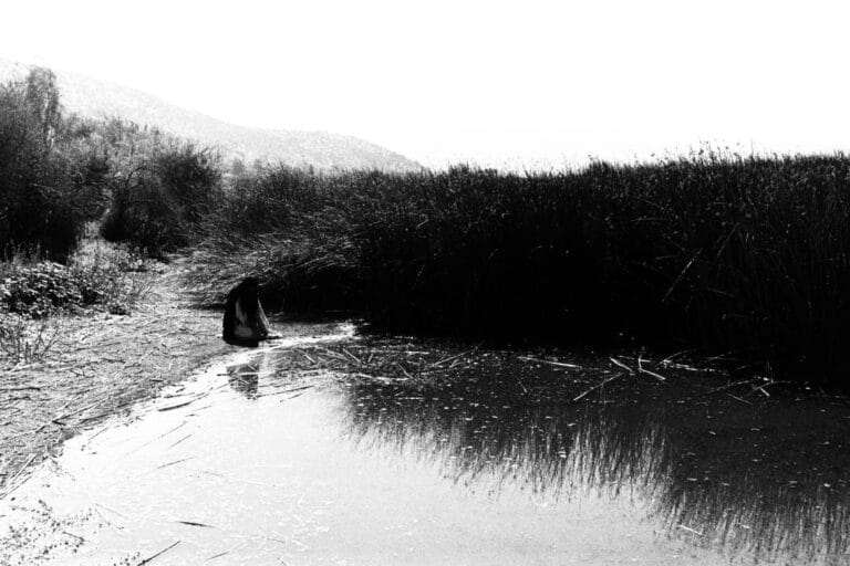 Nicolicio mira al río