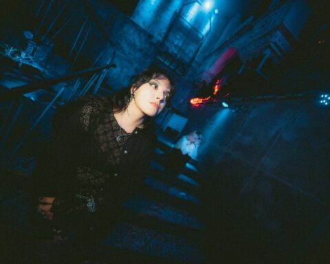 Safo en un fondo azul