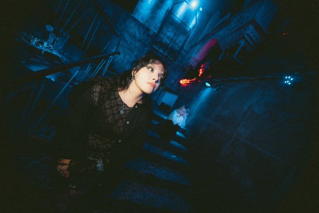 Safo en un fondo azul