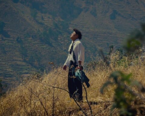 Skillbea posando sobre una roca en medio de un río