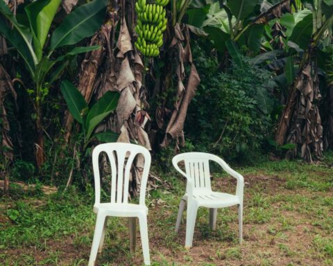 Bad Bunny, Debí Tirar Más Fotos
