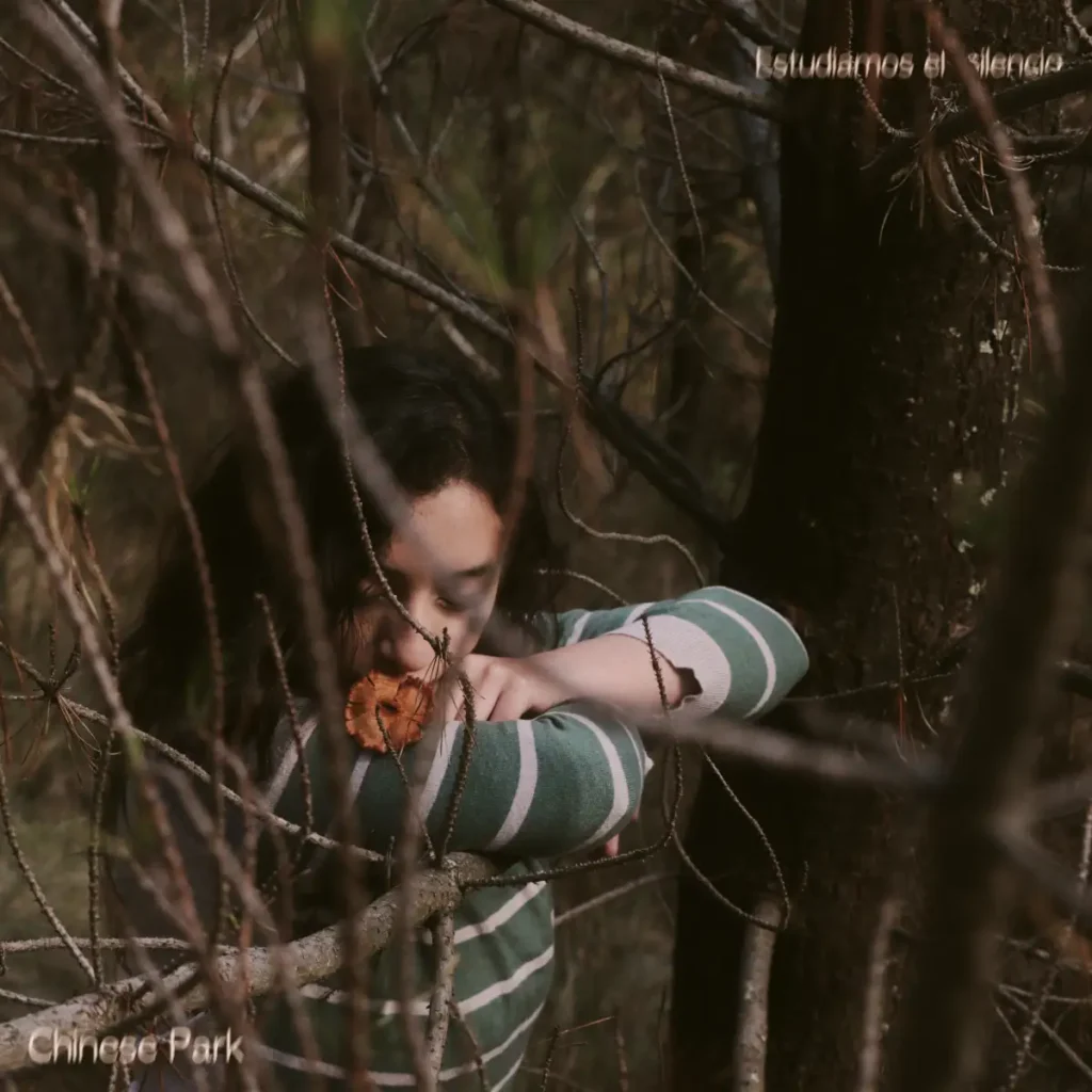 Chinese Park, Estudiamos El Silencio, 2025