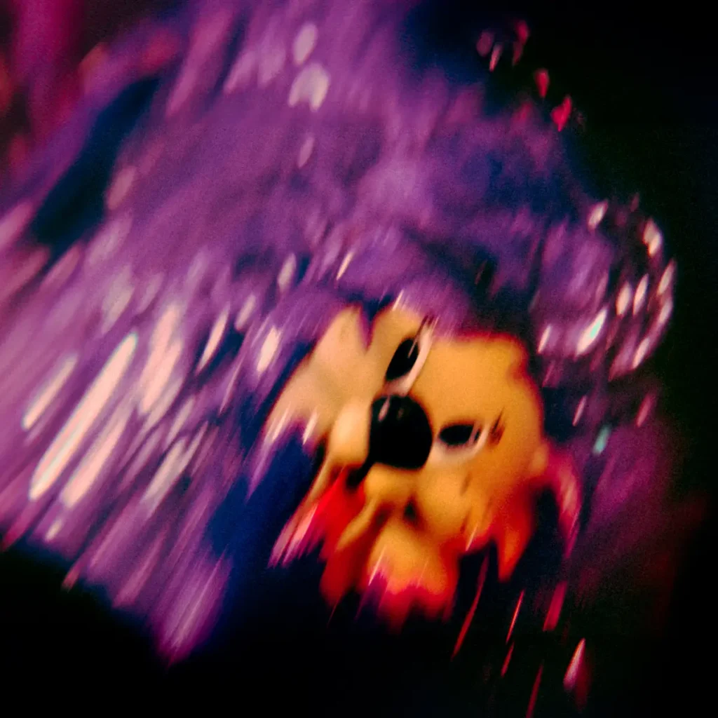 Sueño Púrpura, Souvenir, 2025