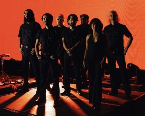 Sonido Gallo Negro a contraluz