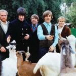 The Beach Boys en la era Pet Sounds