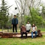 Las Fuerzas Básicas, banda chilena de rock