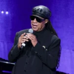 Stevie Wonder actuando en vivo